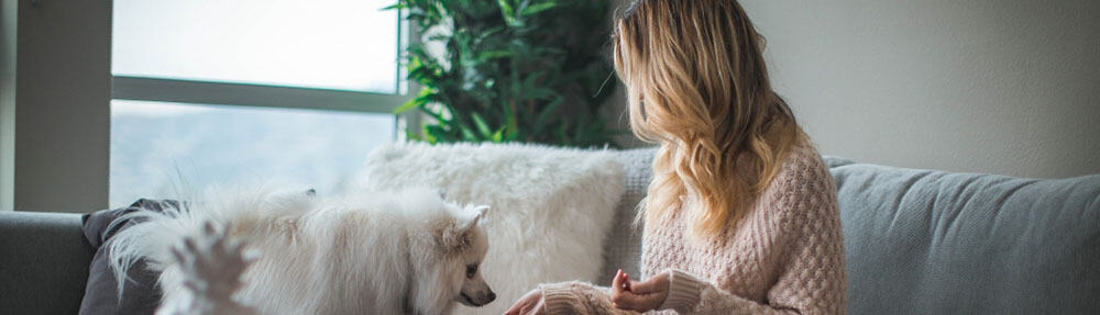 Sitting on sofa with a dog