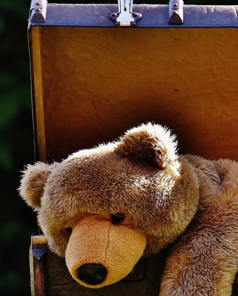 Teddy bear inside a suitcase